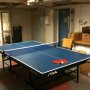bordtennis1.jpg